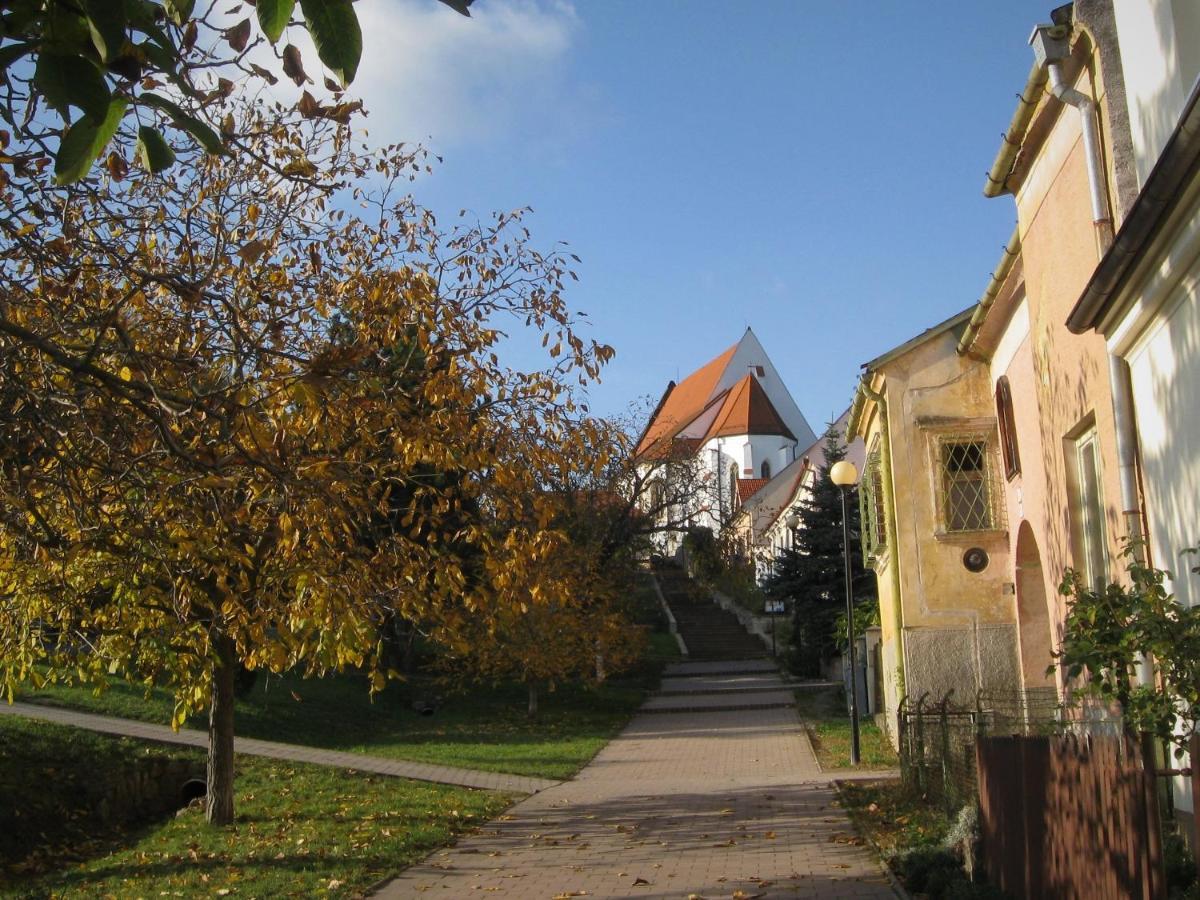 Granny'S Apartment Svaty Jur Exterior photo